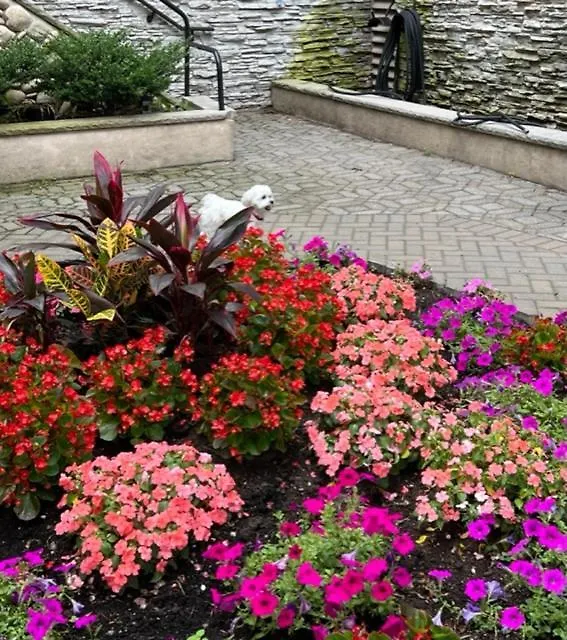 *** Hotell Garden Inn & Suites - Jfk New York USA